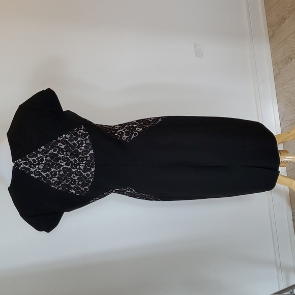 Tahari Sheath Dress - Lace - Picture 2 of 10